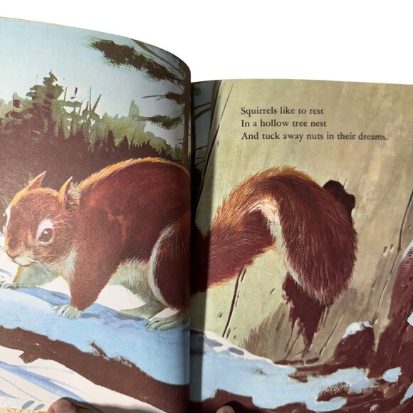 Where Is The Bear? 1st Ed A Betty Hubka Little Golden Book 1967 Golden Press LGB - Picture 9 of 16
